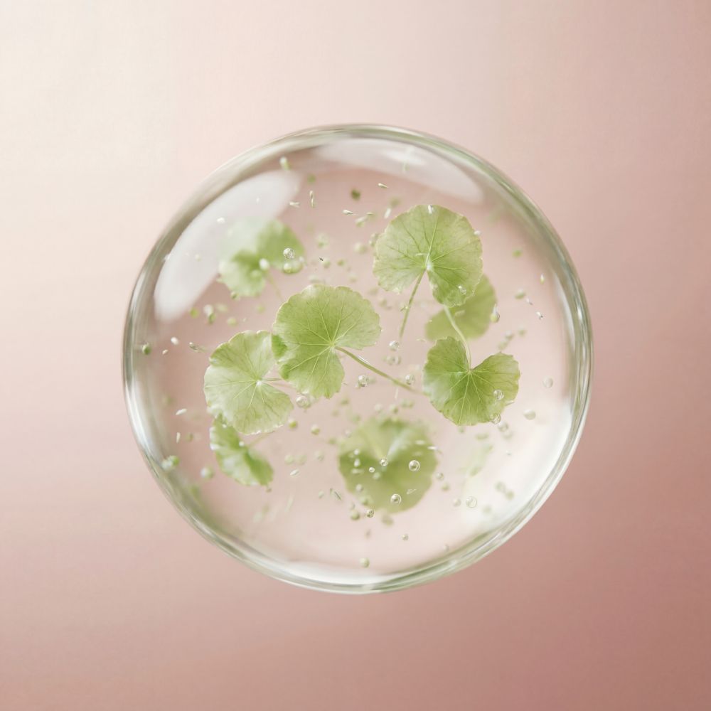 Centella Asiatica